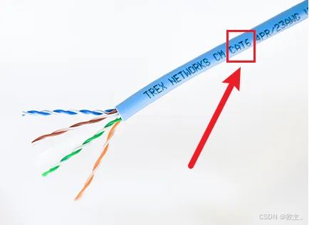 網(wǎng)絡生命的脈絡 網(wǎng)線的分類與作用解析